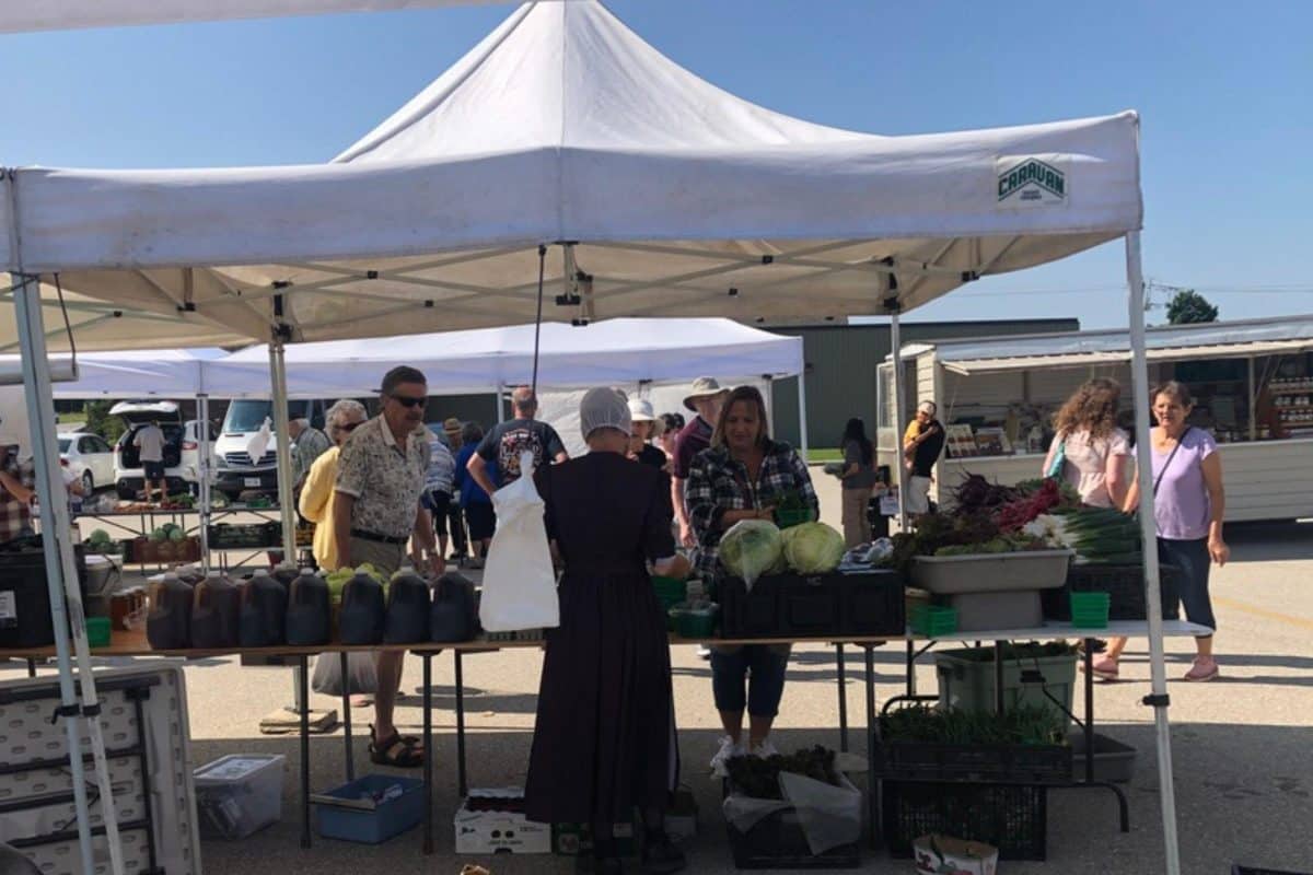 2023 - Gallery Image - 25 - Elmira Farmers Market