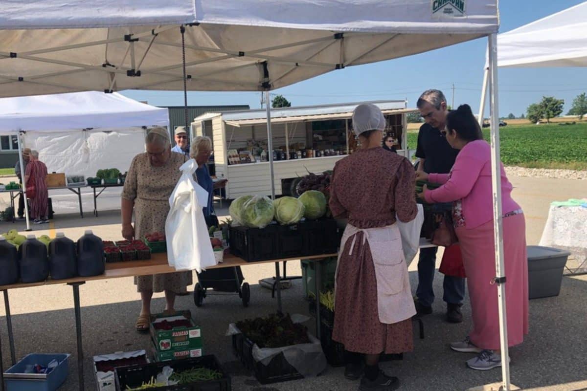 2023 - Gallery Image - 26 - Elmira Farmers Market