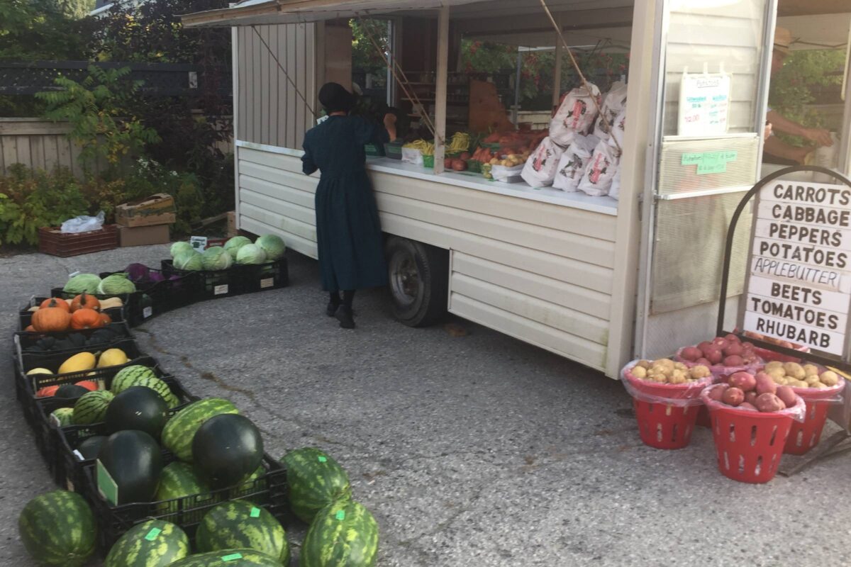 Aden Martin's Fresh Produce - Image Gallery - 11 - Elmira Farmers Market