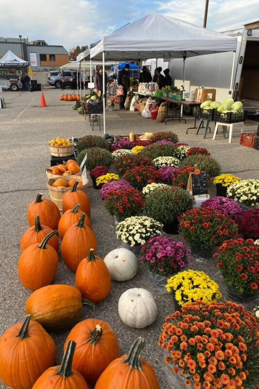 Aden Martin's Fresh Produce - Image Gallery - 8 - Elmira Farmers Market