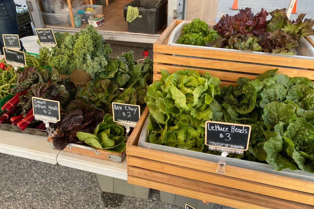 CrowsFoot Garden - Image Gallery - 9 - Elmira Farmers Market