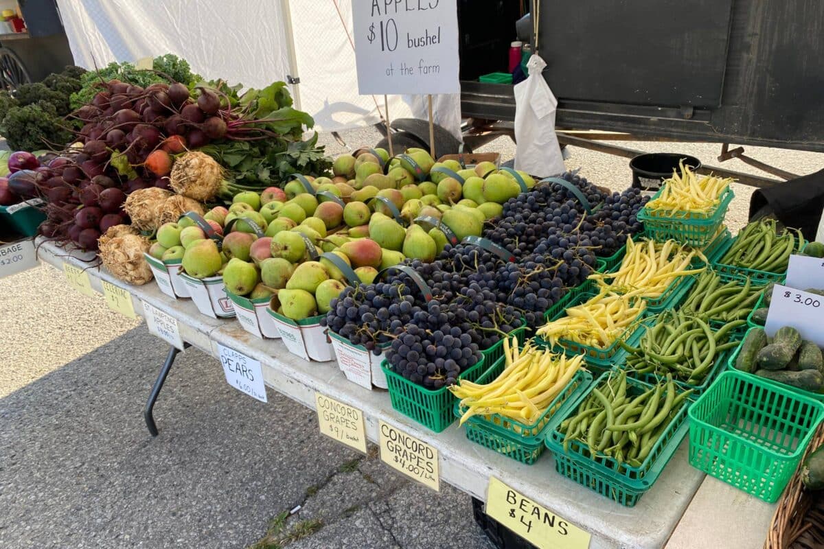 Elise Martin's Garden - Image Gallery - 3 - Elmira Farmers Market