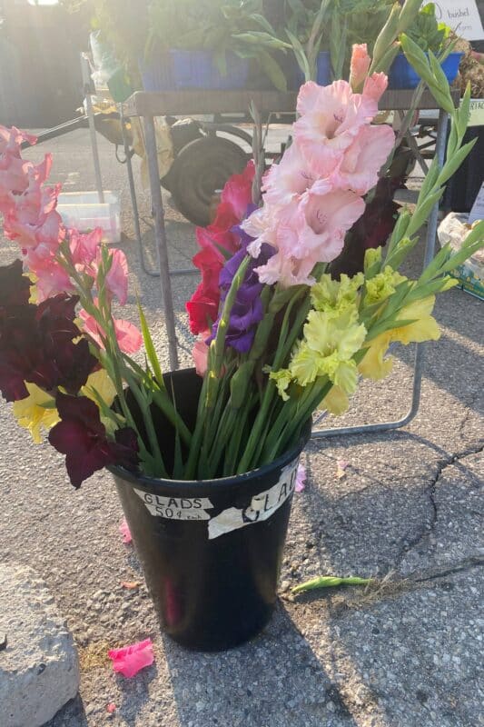 Elise Martin's Garden - Image Gallery - 4 - Elmira Farmers Market