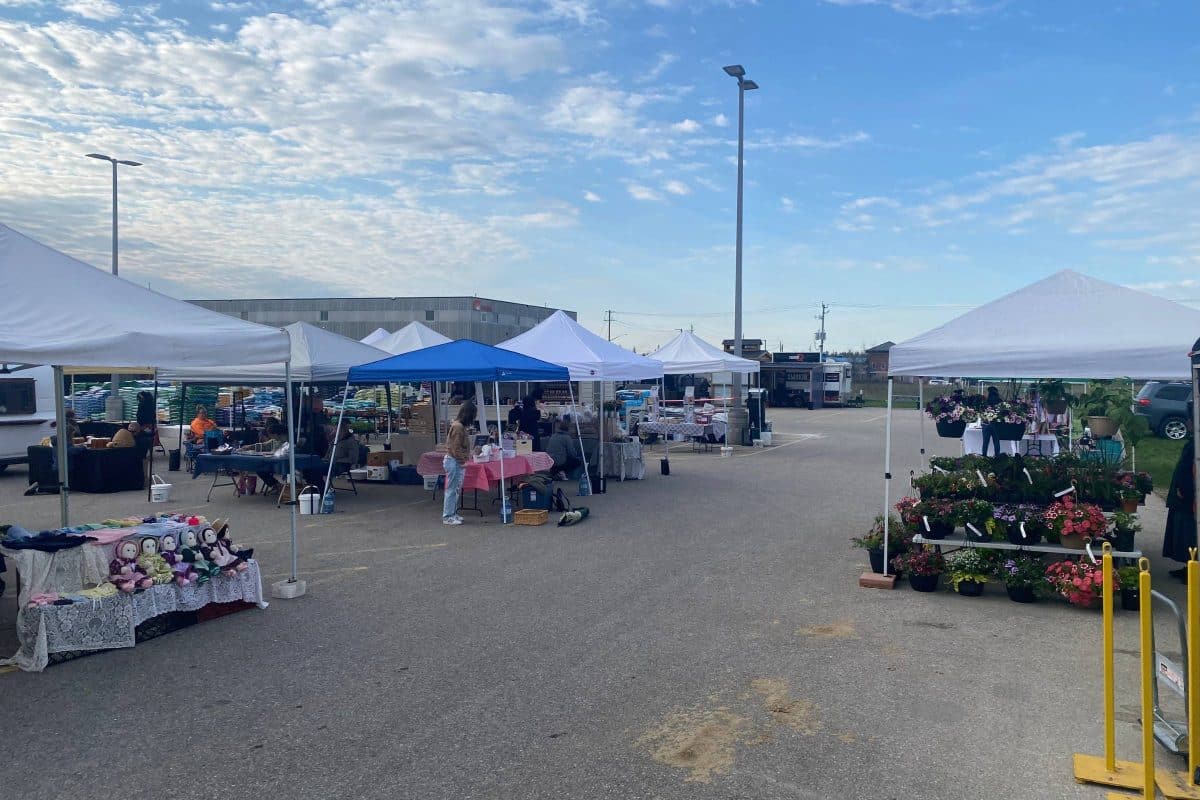 2023 - Gallery Image - 2 - Elmira Farmers Market