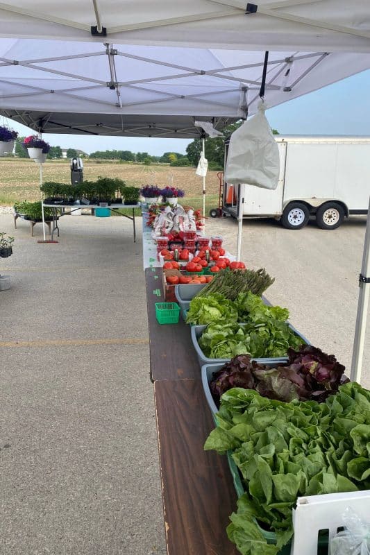 2023 - Gallery Image - 15 - Elmira Farmers Market