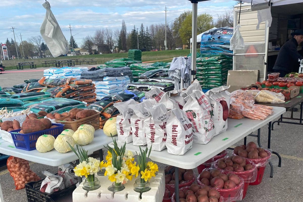 2023 - Gallery Image - 6 - Elmira Farmers Market