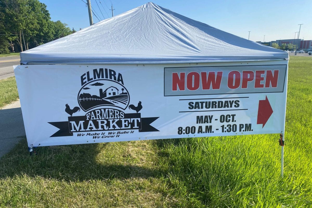 2023 - Gallery Image - 8 - Elmira Farmers Market